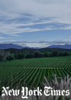 The vineyards at Campos de Solana, in Bolivia’s Tarija region, which produces wine and a spirit called singani. Photo © Nick Ballón for The New York Times